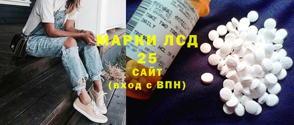 ECSTASY Магас