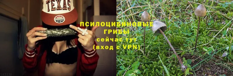 мега ONION  Камешково  Псилоцибиновые грибы MAGIC MUSHROOMS 